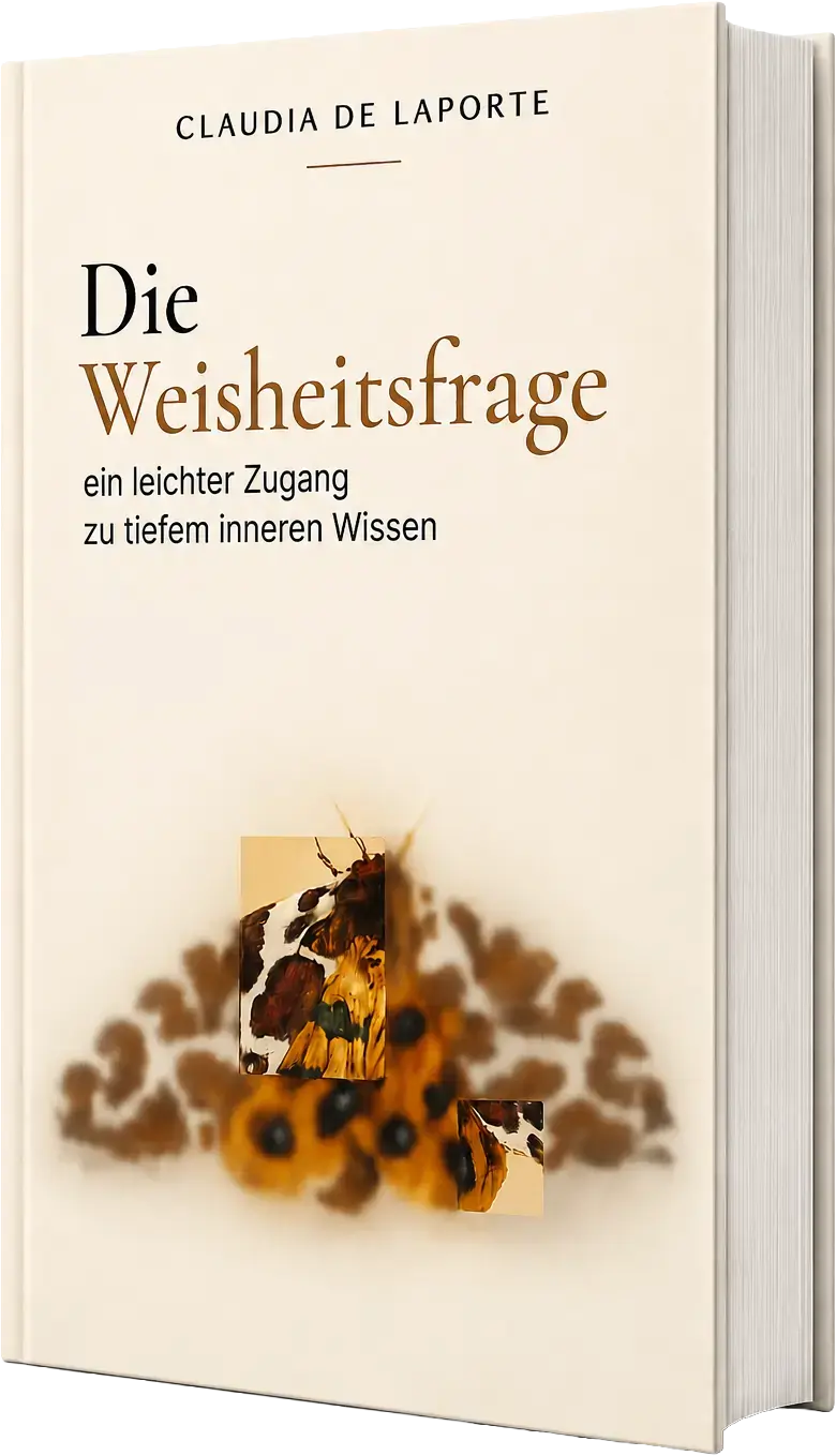 Buchcover Die Weisheitsfrage