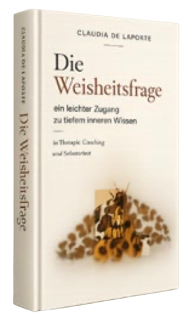 Kleines Buchcover Die Weisheitsfrage
